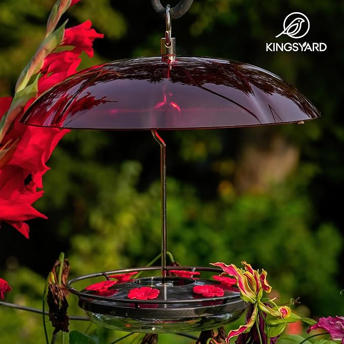 Kingsyard 12 oz Hummingbird Feeder with Rain Guard Dome, Leak-Proof Saucer Nectar Feeder for Outdoors Hanging, Built-in Ant Moat & 6 Bee-Proof Ports, Easy to Refill & Clean, Black