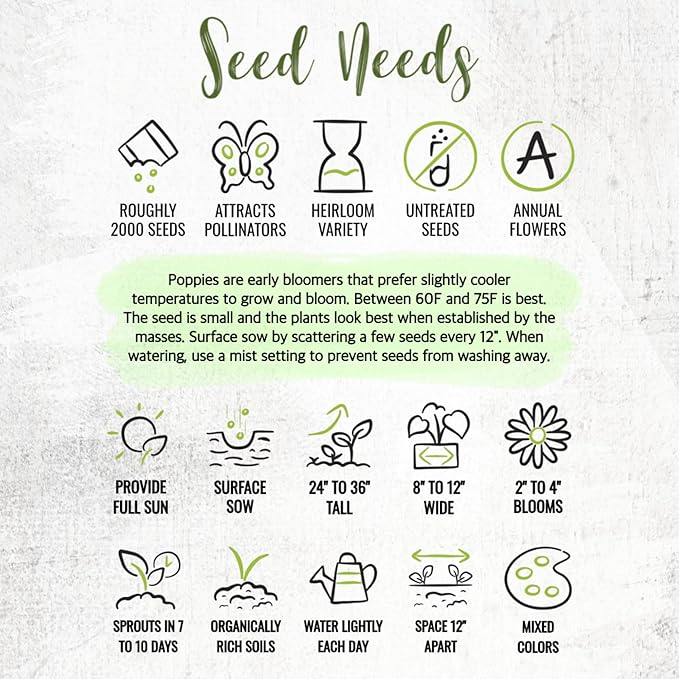 Seed Needs Mixed Peony Poppy Seeds for Planting - Heirloom & Open Pollinated - Colorful Mixture to Plant an Outdoor Butterfly Garden, Attracts Pollinators (2 Packs)