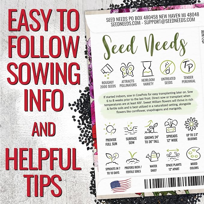 Seed Needs Sweet William Seeds for Planting Dianthus Flowers - Heirloom & Open Pollinated Annual Wildflower Seed Mix to Attract Butterflies, Bees & Other Pollinators to a Butterfly Garden (1 Pack)