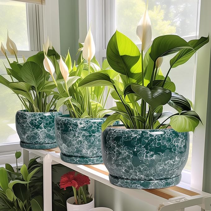 SQOWL Ceramic Pot for Plants - 6 Inch Ceramic Planter with Drainage Hole and Saucer, Round Flower Pot for Indoor Outdoor, Decorative Small Planter, Room Home Decor, Plant Lover Gifts, Green