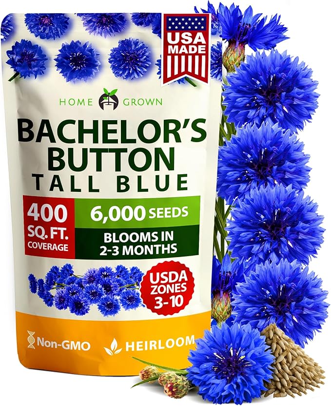 HOME GROWN Bachelor Button Seeds Tall Blue - 6000 Cornflower, Stunning Blue Blooms for Wildflower Gardens, Non-GMO Flowers & Pollinator-Friendly Spaces, Low Maintenance Flower Seeds (Centaurea cyanus)
