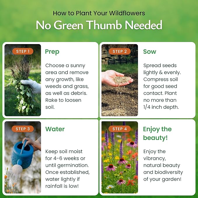 Created By Nature Illinois Wildflower Seed Mix, 16 Flower Varieties, 40,000 Wildflower Seeds
