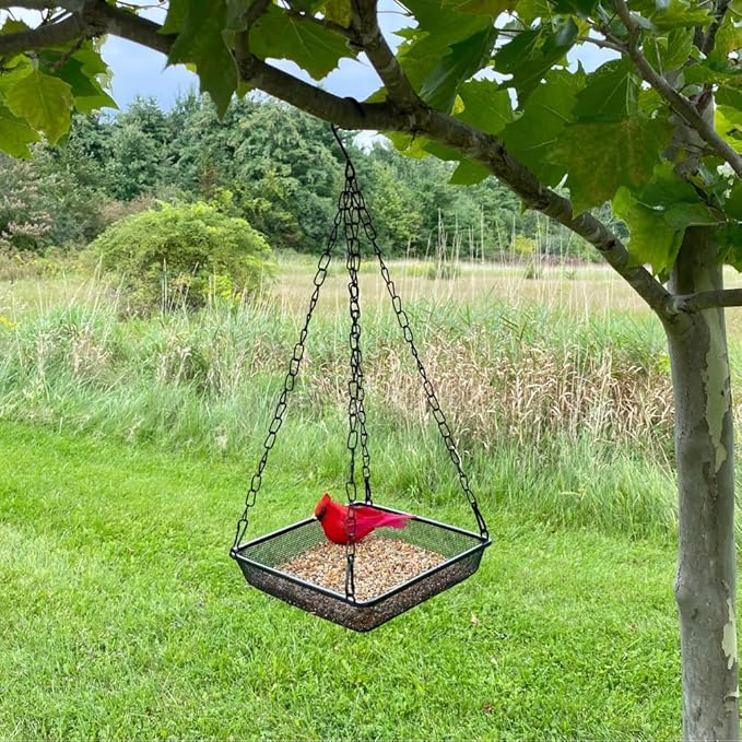 Evelots Hanging Bird Feeder Tray-4 Pack- Sturdy Metal Mesh Seed & Suet Platform-Attract Wild Birds in Backyard-Long 16 Inch Metal Chain-Water Drains Out