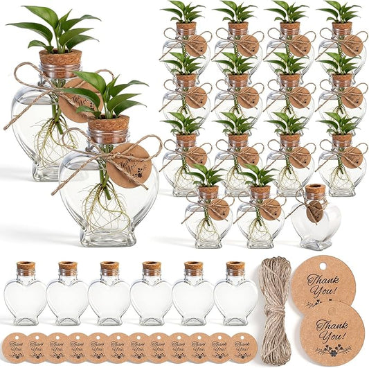 Baderke 24 Pack 3.74'' Plastic Plant Propagation Stations with Hole Lid 5oz Planter Vase Clear Propagation Jars with Thank You Tags for Plant Lover Gifts for Women Office Home Garden