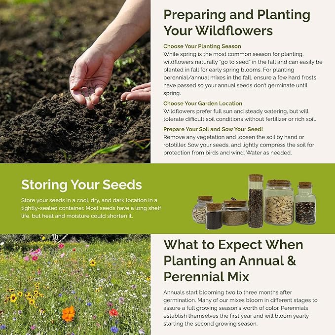 Eden Brothers New Jersey Wildflower Mixed Seeds for Planting, 1 lb, 480,000+ Seeds with Cornflower, Coneflower | Attracts Pollinators, Plant in Spring or Fall, Zones