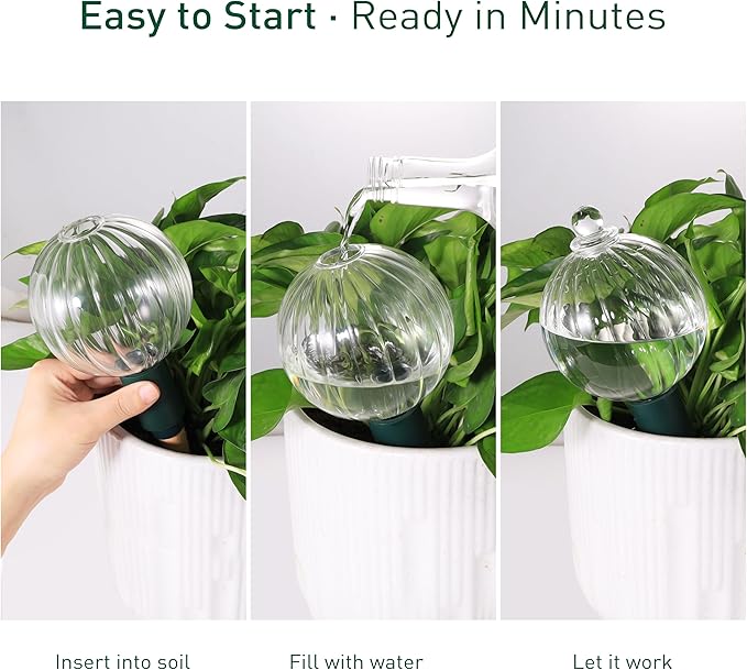 23 oz Extra Large Plant Watering Globes Top Fill, Clear Glass Water Bulbs with Terracotta Spikes Adapter, Slow Release Vacation Plant Watering Devices, Automatic Drip Irrigation, 2 Pack