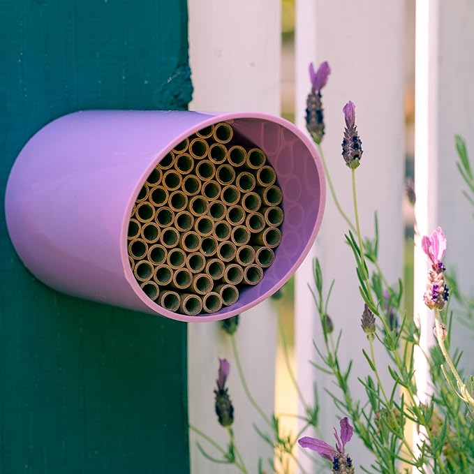 Rivajam Color Splash Mason Bee House - Vibrant & Strong Waterproof Bee Hotel & Insect Habitat - Mason Bee Tubes Filled Bee Houses for The Garden - Pollinator House Bug Hotel Gardening Gifts