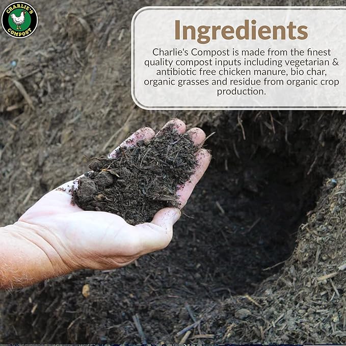 Charlie's Compost - Odor Free Organic Fertilizer for Home Gardens, Raised Beds, Containers, Seed Starting Mix, Natural Soil Amendment with Biochar 10lb