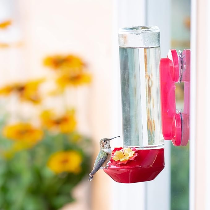 Perky-Pet Window-Mounted Glass Hummingbird Feeder - 14 fl oz Nectar Capacity - Entertaining Bird Watching - Glass Window Bird Feeder - 455-2 - Family Birdwatching