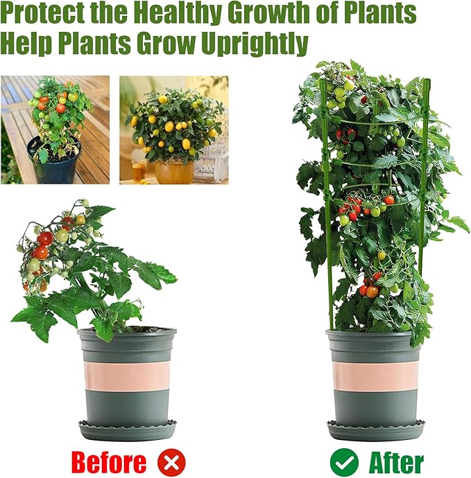 Legigo 6 Packs 18inch Plant Support Cages with 3 Adjustable Support Rings- Small Tomato Cage for Pots Plant Holder for Home Garden Balcony for Orchids, Tomato, Vegetables, Flowers, Climbing Plants
