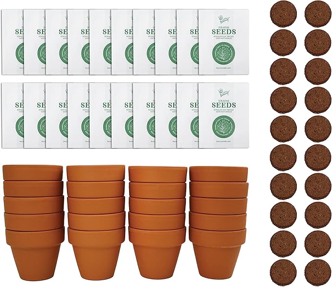 BUZZY Daisy Seeds & Genuine Terracotta 5cm Mini Pot Bulk Pack (20 Count), Includes 20 Each of pots, Soil pellets and Seeds - Great for Favors, Crafts, School Projects, Weddings, and Seed Starter Kits