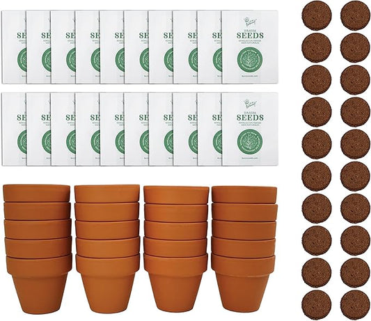 BUZZY Daisy Seeds & Genuine Terracotta 5cm Mini Pot Bulk Pack (20 Count), Includes 20 Each of pots, Soil pellets and Seeds - Great for Favors, Crafts, School Projects, Weddings, and Seed Starter Kits
