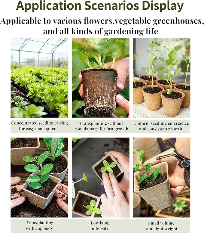 40 Pack Biodegradable Peat Pots with Drainage Holes – 3.15 Inch Organic Seed Starter Pots for Seedlings – Garden Germination Nursery Pots for Vegetables, Herbs & Flowers