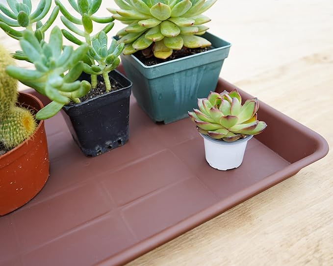 2 Pack Rectangular Plant Saucer, Heavy Sturdy Seed Starting Nursery Trays for Indoors No Holes, Growing Starter Tray (17.5"x10.6", Chocolate)