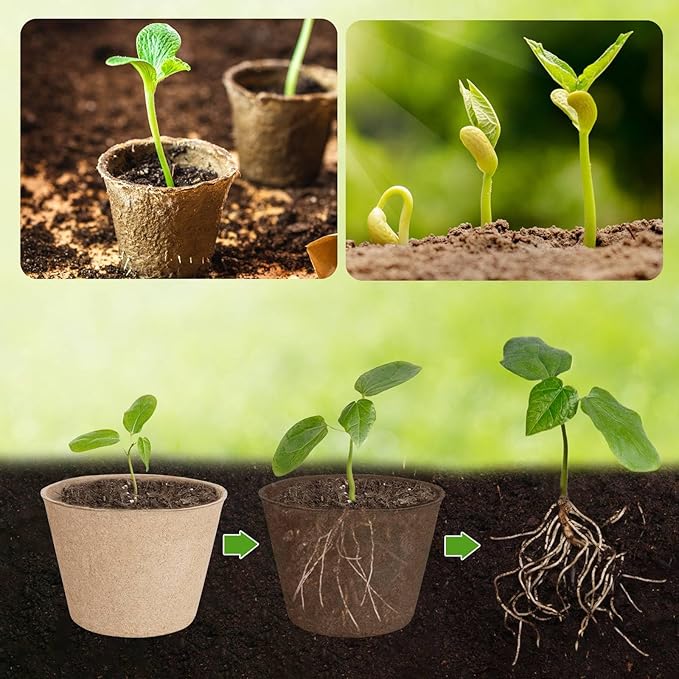 65 Pcs Organic Peat Pots, 4 Inch Nursery Pot Set, Round Plant Seedling Pots with Drainage Holes, Small Seed Starting Starter Tray Bulk, Garden Germination Container with 65 Plant Labels
