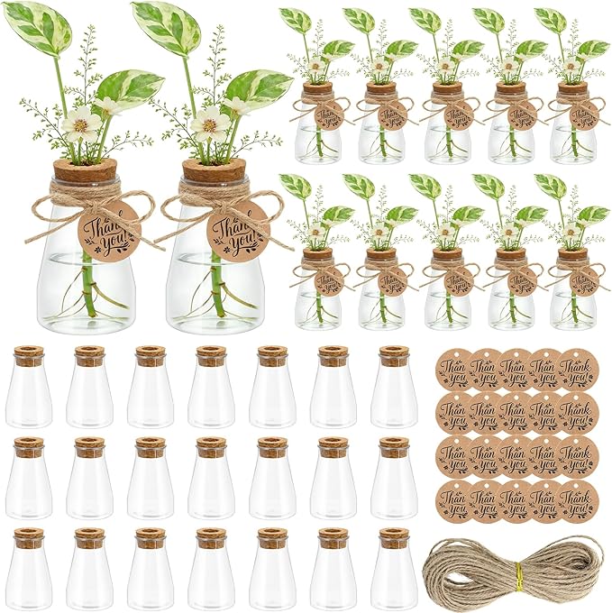 30 Pack Plant Propagation Stations, 3.35'' Plastic Propagation Jars Clear Hydroponic Small Vase Hanging Planter Tube with Cork Lid Tags Hemp Rope for Plant Lovers Women Office Home Decor Garden Gifts