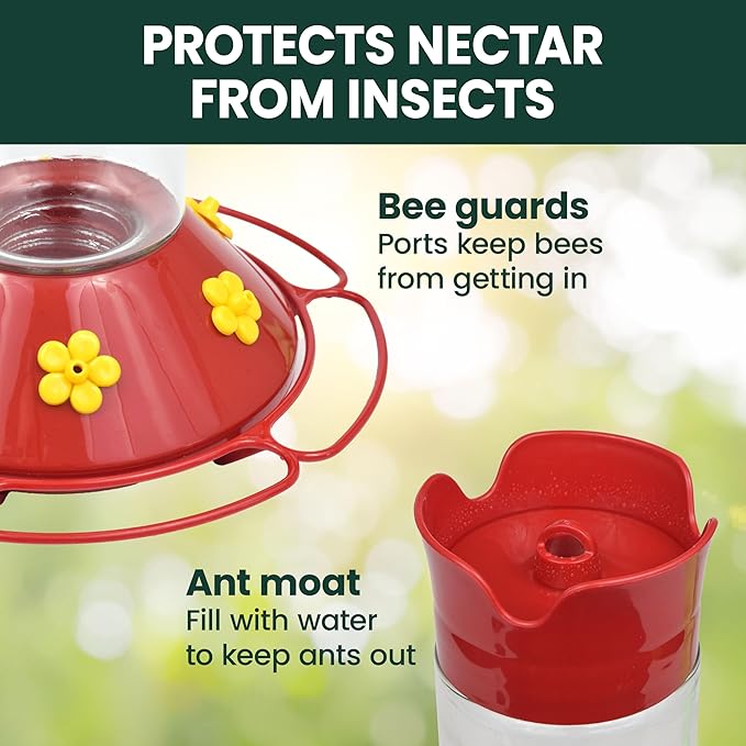 Perky-Pet 209B-1SR Glass Hummingbird Feeders for Outdoors Hanging - 30 fl oz Nectar Capacity - Ant & Bee Guarded Red Bird Feeder