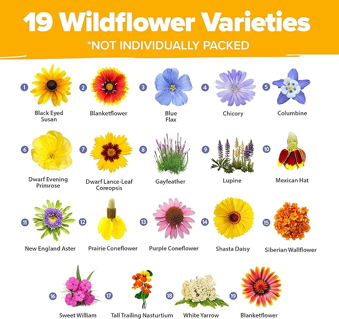 HOME GROWN Wildflower Seeds Mix - 47,400+ Non-GMO - 19 Perennial Flower Varieties for Planting Outdoors - Attract Butterflies & Birds - 3oz Wild Flower Seed Mix