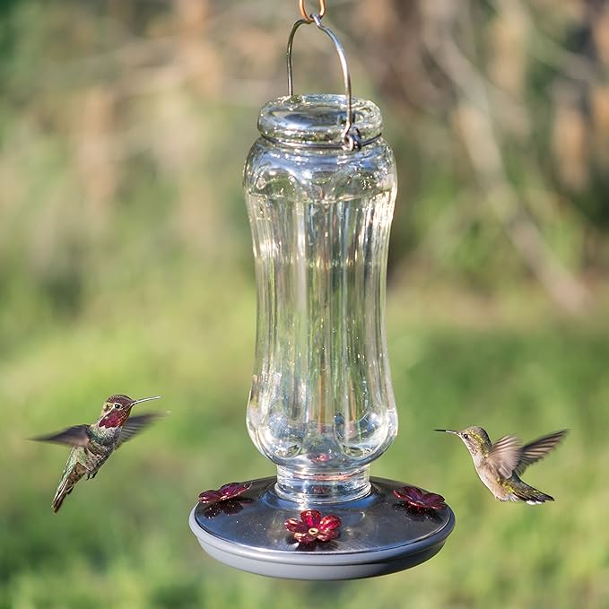 Perky-Pet Starglow Vintage Glass Hummingbird Feeder - 16 fl oz capacity - Humming Bird Feeder for Outdoors - 8132-2