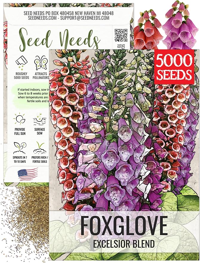 Seed Needs Foxglove Seeds for Planting Excelsior Mix Fox Glove - Heirloom & Open Pollinated Flowers to Plant an Outdoor Butterfly Garden with Colorful Wildflowers (1 Pack)