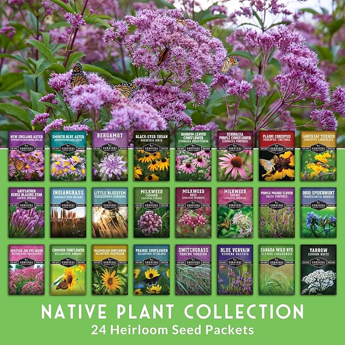 Native Wildflower Seeds for Planting 24 Variety Pack – Perennial & Annual North American Flowers for Butterfly & Bee-Friendly Pollinator Gardens – Non-GMO Heirloom – Survival Garden Seeds