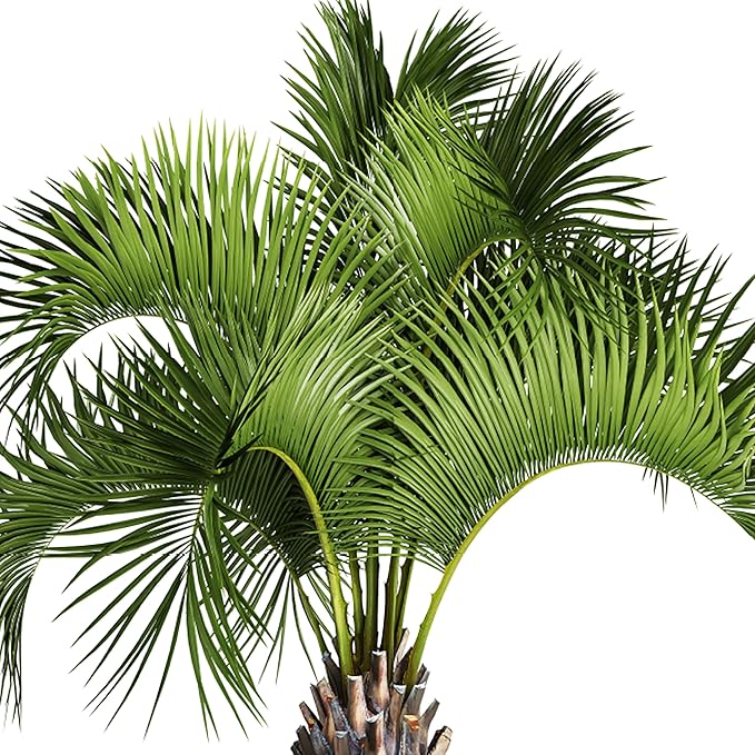 Jobe’s Organics Granular Fertilizer, Organic Fertilizer for Palm Trees and Plants, 4 lbs Bag (Pack of 2)