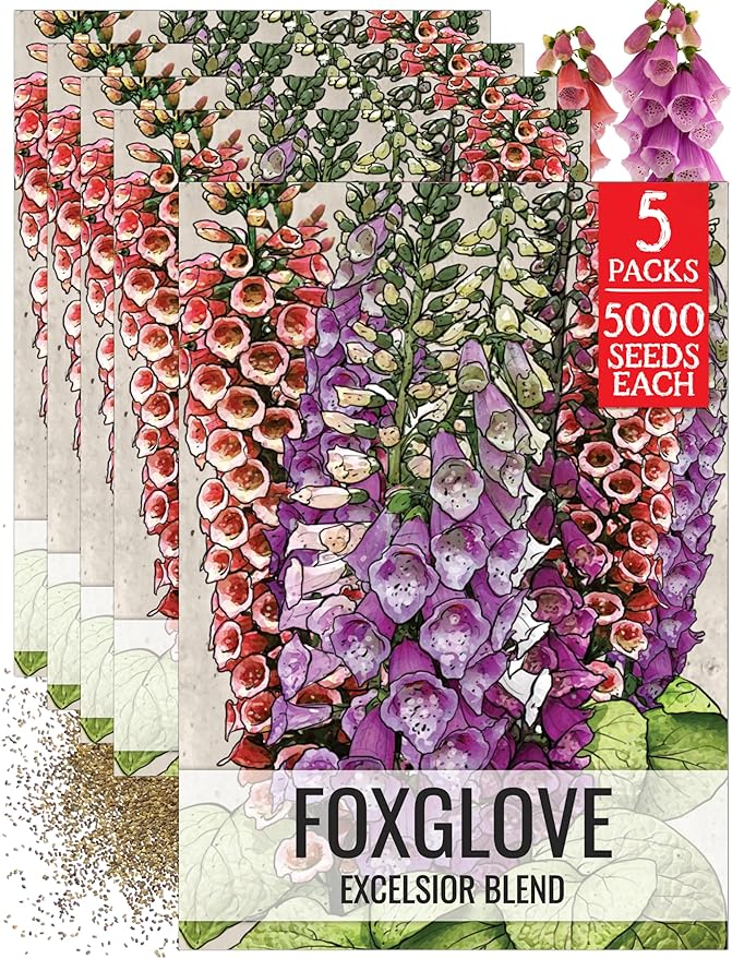 Seed Needs Foxglove Seeds for Planting Excelsior Mix Fox Glove - Heirloom & Open Pollinated Flowers to Plant an Outdoor Butterfly Garden with Colorful Wildflowers (5 Packs (25,000 Seeds))