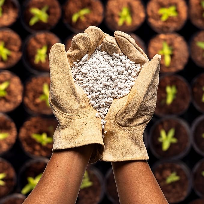 Perlite Bliss (24 Qts) - Organic Perlite for Plants Indoor Soil Amendment - Bulk Perlite for Gardening & Seed Starting - Mixes Easily with Potting Soil, Vermiculite, & Organic Coco Coir for Plants