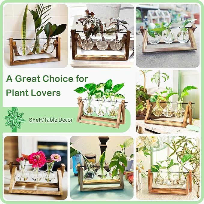 Propagation Station, Plants Terrarium, Plants Lover Gifts for Women,Plant Cutting Holder Home décor,Gifts for Women,House Warming New Home-3 Bulbs