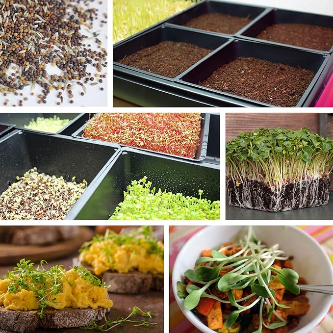 10-Pack 1020 Garden Growing Trays without Drain Holes - 10" x 20" Plastic Plant Trays No Holes - Wheatgrass Sprouting Tray, Microgreens Seed Tray, Hydroponic Trays, Nursery Flats, Greenhouse Supplies