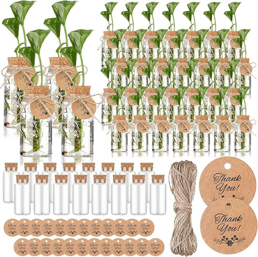 Baderke 48 Pcs 3.54'' Plastic Plant Propagation Stations with Hole Lid 4oz Planter Vase Clear Propagation Jars with Thank You Tags for Plant Lover Gifts for Women Office Home Garden