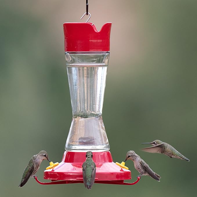 Perky-Pet Pinch-Waist Glass Hummingbird Feeder – 16 oz Nectar Capacity - Wide Mouth Humming bird Feeder - Bee Guards, Ant Moats, Durable Glass Bottle - 210PB, Easy to Clean