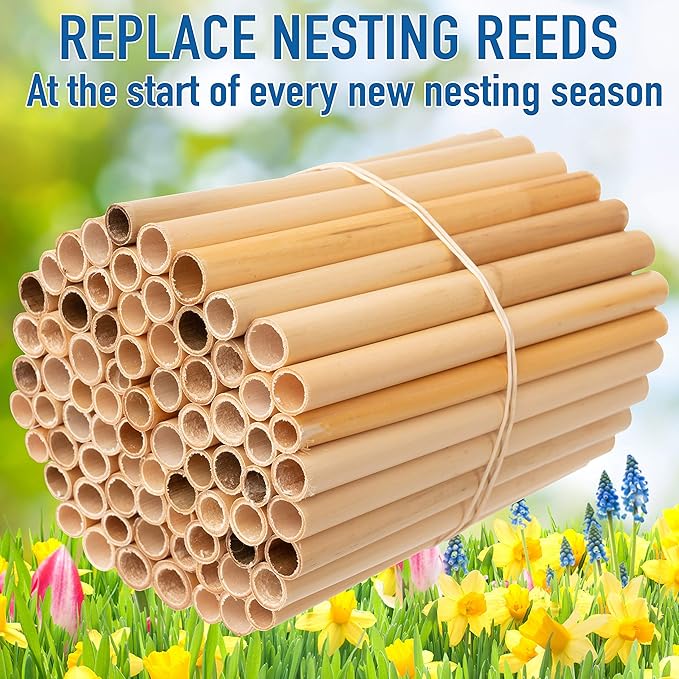 Rivajam 75 Phragmite Reed Mason Bee Tubes | Recommended for Garden Starter Kits & Solitary Bee Hive Supplies
