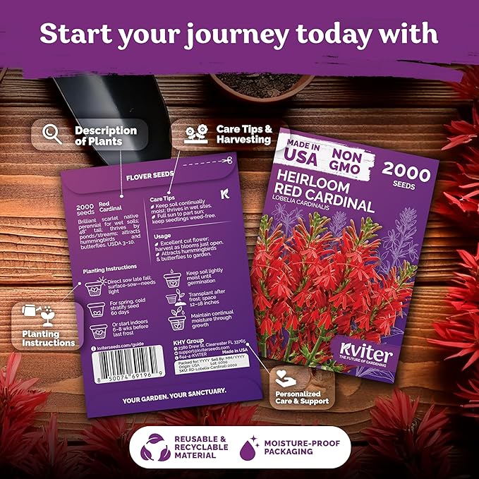 KVITER 2000 Red Cardinal Flower Seeds (Lobelia cardinalis) – Lobelia Garden Seeds for Planting, Cardinal Perennial Flower Seed Packets – Native Wildflower Plant for Outdoor Garden, Containers