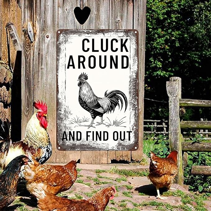 Funny Chicken Signs-Vintage Metal Chicken Signs for Coop Funny Outdoor,Cluck Around and Find Out Tin Sign for Home Farm Chicken Coop Farmhouse Kicthen Garden Decor 8 X 12 Inch