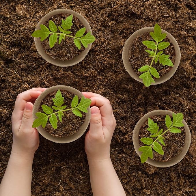 160 Pieces Peat Pots Seed Starters 4 Inch Peat Pots Round Biodegradable Seed Starting Pots with 160 Plant Labels, Planter Nursery Pots with Drainage Holes for Vegetable Seed