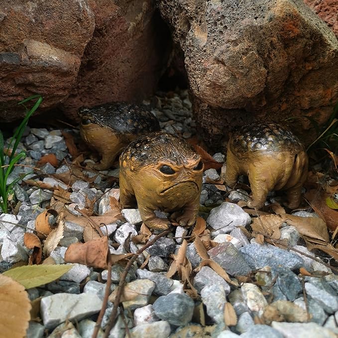 Weird Queer Grumpy Frog Toad Statue Ugly Angry Outdoor Garden Yard Decor Statue Fun Novelty Home Office Decor Sculpture Unique Gift
