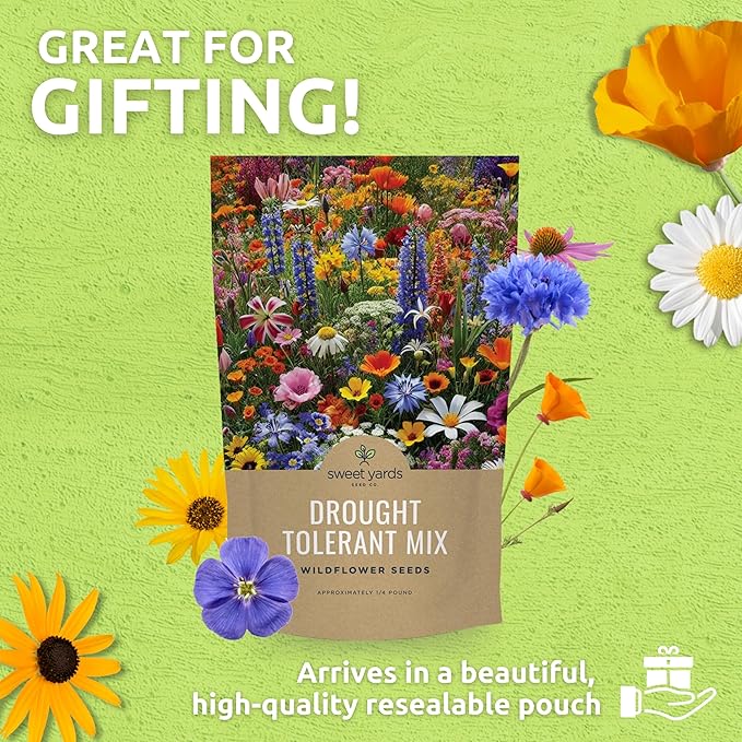 Drought Tolerant Wildflowers Mix – Bulk Quarter Pound Bag – Over 30,000 Open Pollinated Non-GMO Seeds – 21 Different Dryland Species