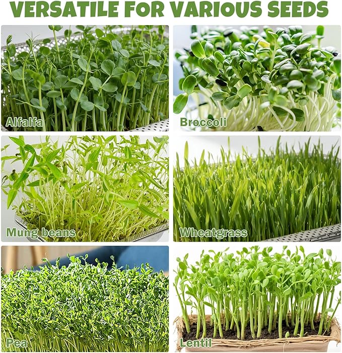 2 Pack Stainless Steel Seed Sprouter Trays, 2-Tier Soil-Free Microgreens Growing Kit, Rust-Free Sprouting Tray with Mesh Pads for Sprouts Beans Alfalfa Wheatgrass