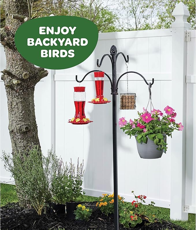 Hummingbird Feeder 10 oz [Set of 2] Glass Feeders for Outdoors, with Built-in Ant Guard - Circular Perch with 5 Feeding Ports - Wide Mouth for Easy Filling/2 Part Base for Easy Cleaning