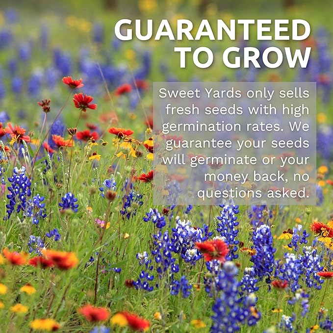 California Natives Mix - Bulk 1 Pound Bag - Over 120,000 Native Seeds - Open Pollinated and Non GMO