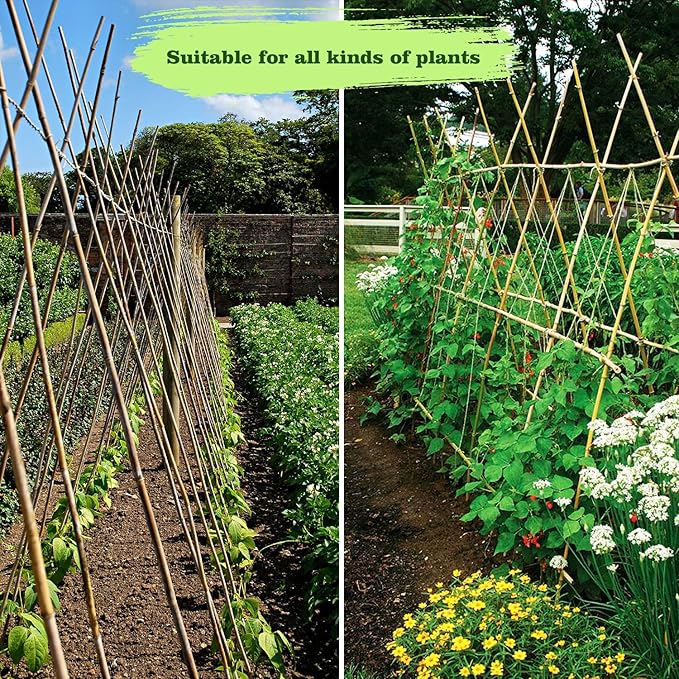 20pcs 5/8" D Thicker Heavy Duty Bamboo Stakes, 6FT Plant Stakes, Natural Garden Stakes for Tomato, Bean, Flowers,Trees Potted and Climbing Plant Support