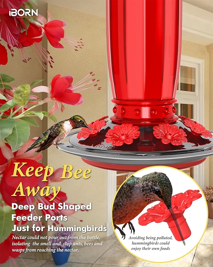 iBorn Glass Hummingbird Feeder for Outdoors Hanging Ant and Bee Proof Ant Moat for Hummingbird Feeder 8 Ports for 16oz Hummingbird Nectar, Brushed Black Nickle Cover Red Glass, Pack of 1, 2024 New