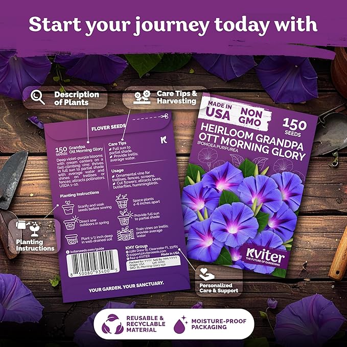 KVITER 150 Grandpa OTT Morning Glory Seeds (Ipomoea purpurea) – Vine Purple Climbing Blooms Flower Seeds to Plant Outside – Pollinator Heirloom Seed Packets for Garden, Trellises, Outdoor Flower Beds