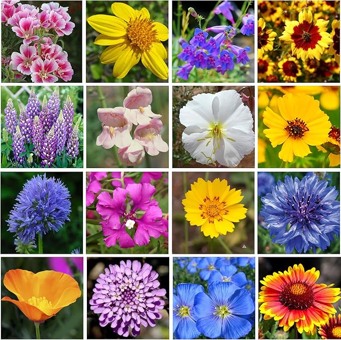 on the Go Seed Shaker - Western Wildflower Seeds Regional Mix - Organic, Non-GMO - 100% Pure Seed - 18 Different Wildflowers Seeds of Annual and Perennial, 8oz