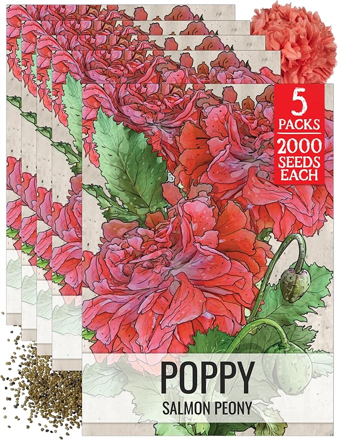 Seed Needs Salmon Peony Poppy Seeds for Planting Poppies - Heirloom & Open Pollinated Flowers to Attract Butterflies & Pollinators to a Butterfly Garden (5 Packs)