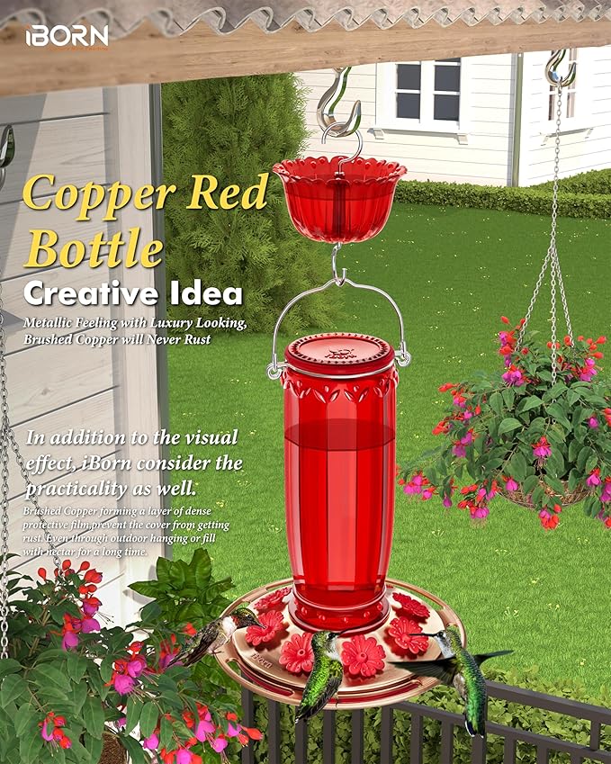 iBorn Glass Hummingbird Feeder for Outdoors Hanging Ant and Bee Proof Ant Moat for Hummingbird Feeder 8 Ports for 16oz Hummingbird Nectar,Brushed Copper Base Red Glass, Pack of 1, 2024 New
