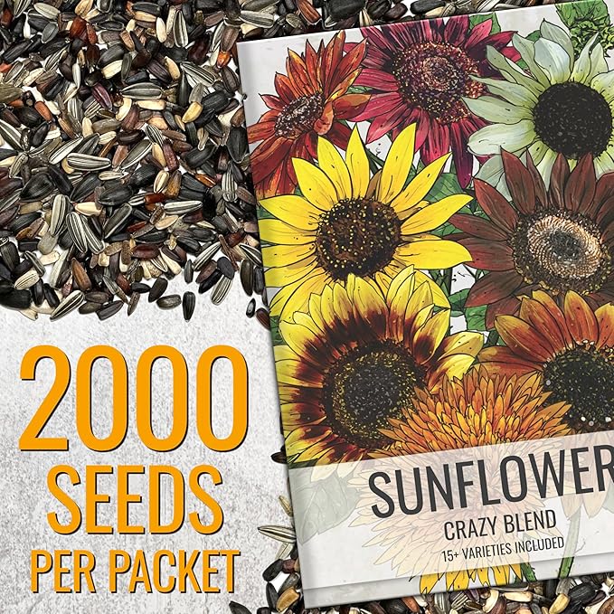 Seed Needs Sunflower Seeds for Planting The Original Crazy Blend | 2 Ounce 15+ Heirloom Varieties Open Pollinated & Untreated | Resealable Bulk Package Multicolored Blooms Flower Seeds