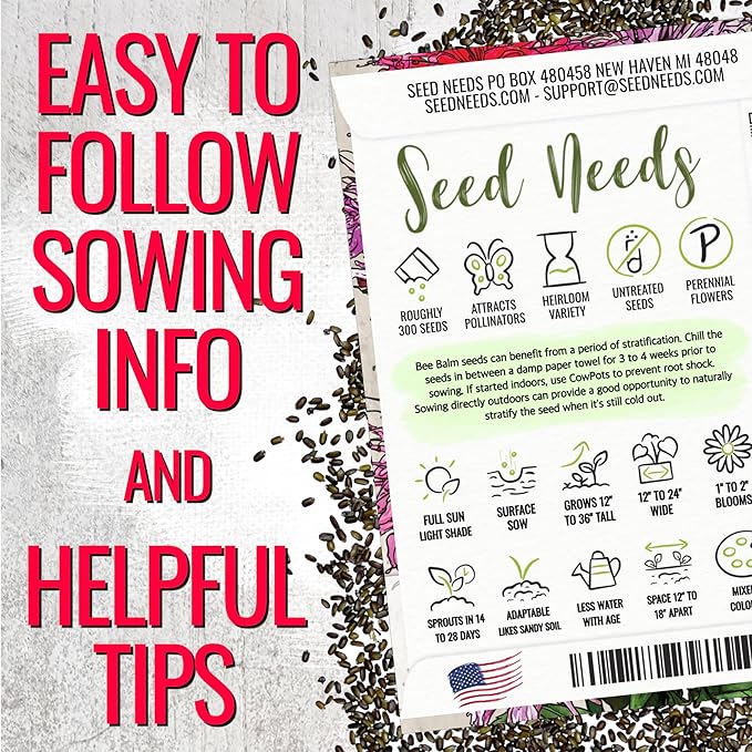 Seed Needs Panorama Mixed Bee Balm Seeds for Planting - Heirloom & Open Pollinated Perennial - Mixture of Colorful Flowers to Grow a Butterfly Garden (5 Packs)