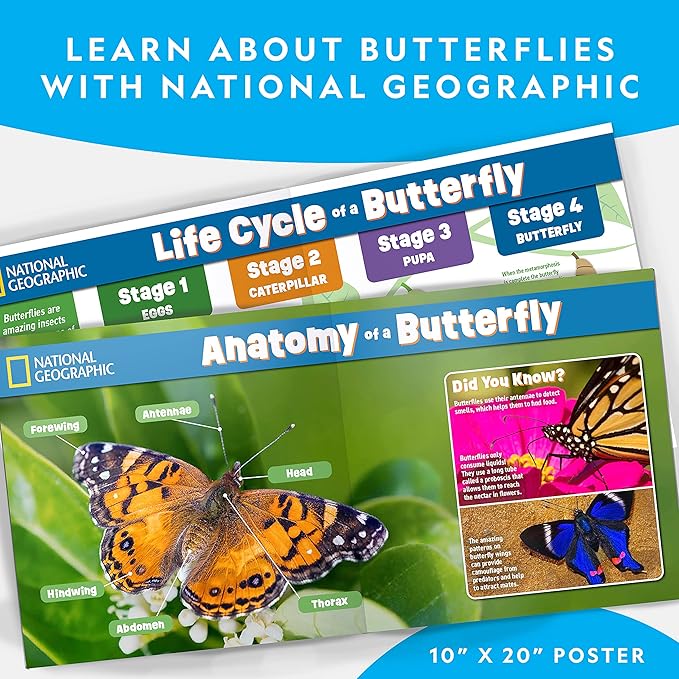 National Geographic Butterfly Growing Kit - Butterfly Habitat Kit with Voucher to Redeem 5 Caterpillars (S&H Not Included), Butterfly Cage, Feeder, Easter Basket Gifts for Kids